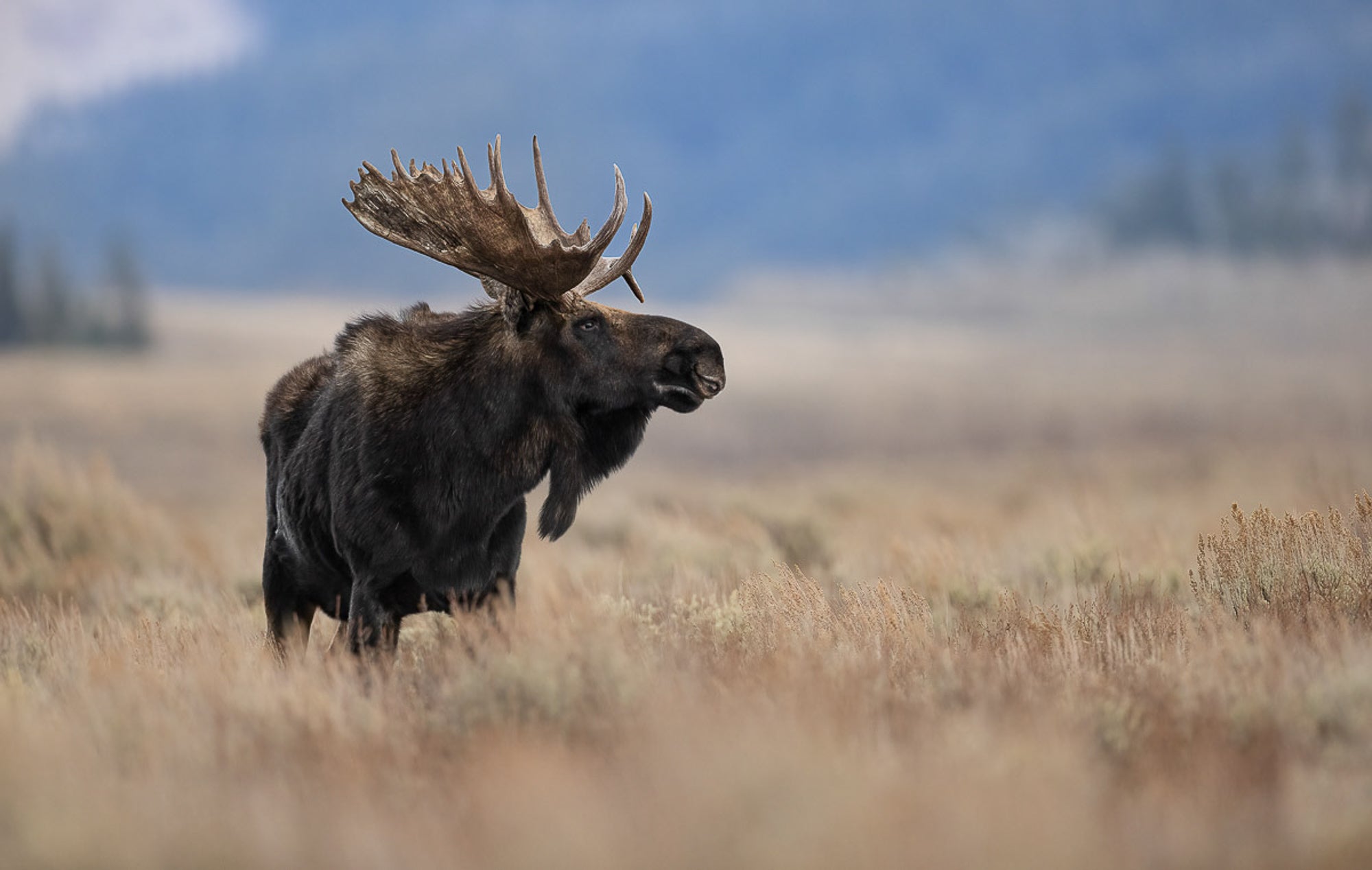 Marketing for the Outdoor Industry