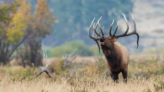 Hunting Gear Marketing