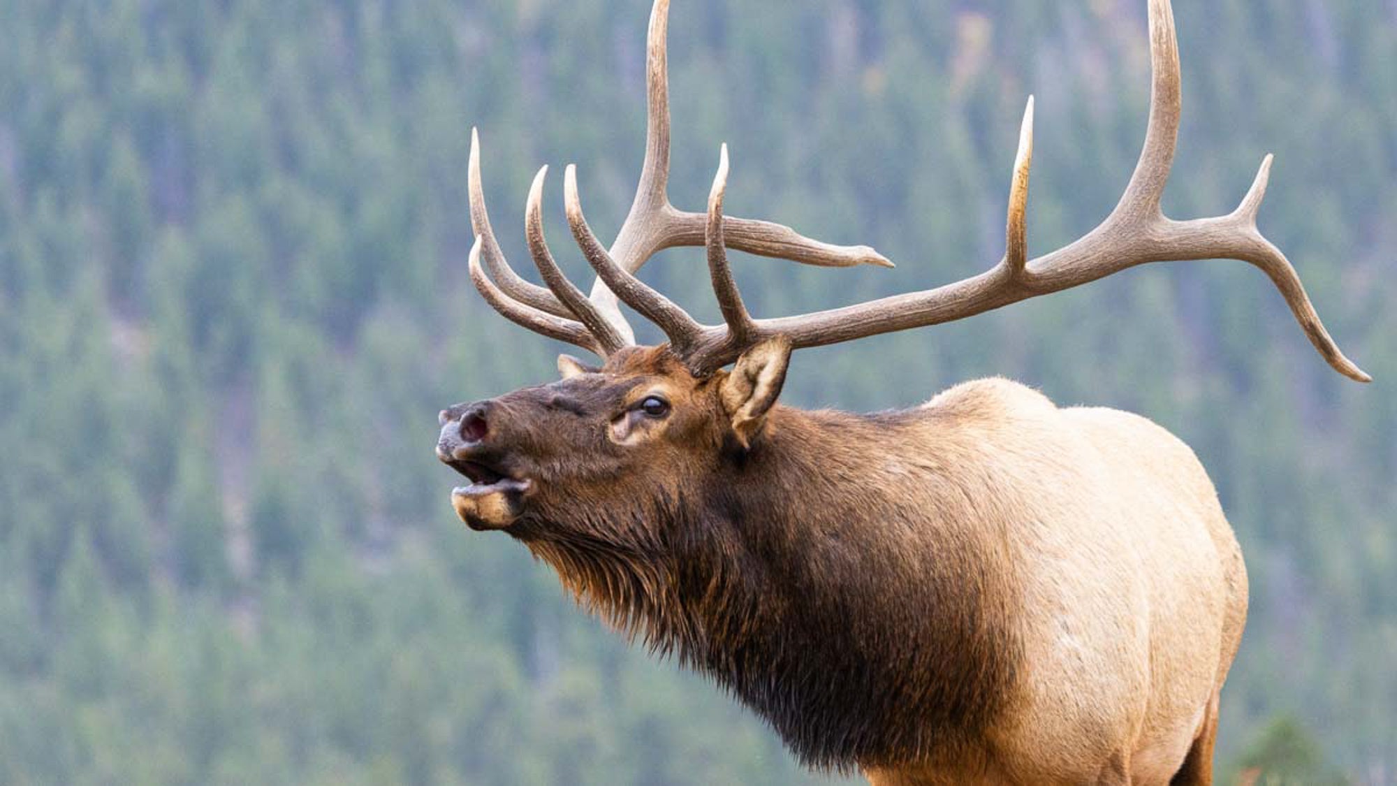 Marketing for Outdoor Industry Brands