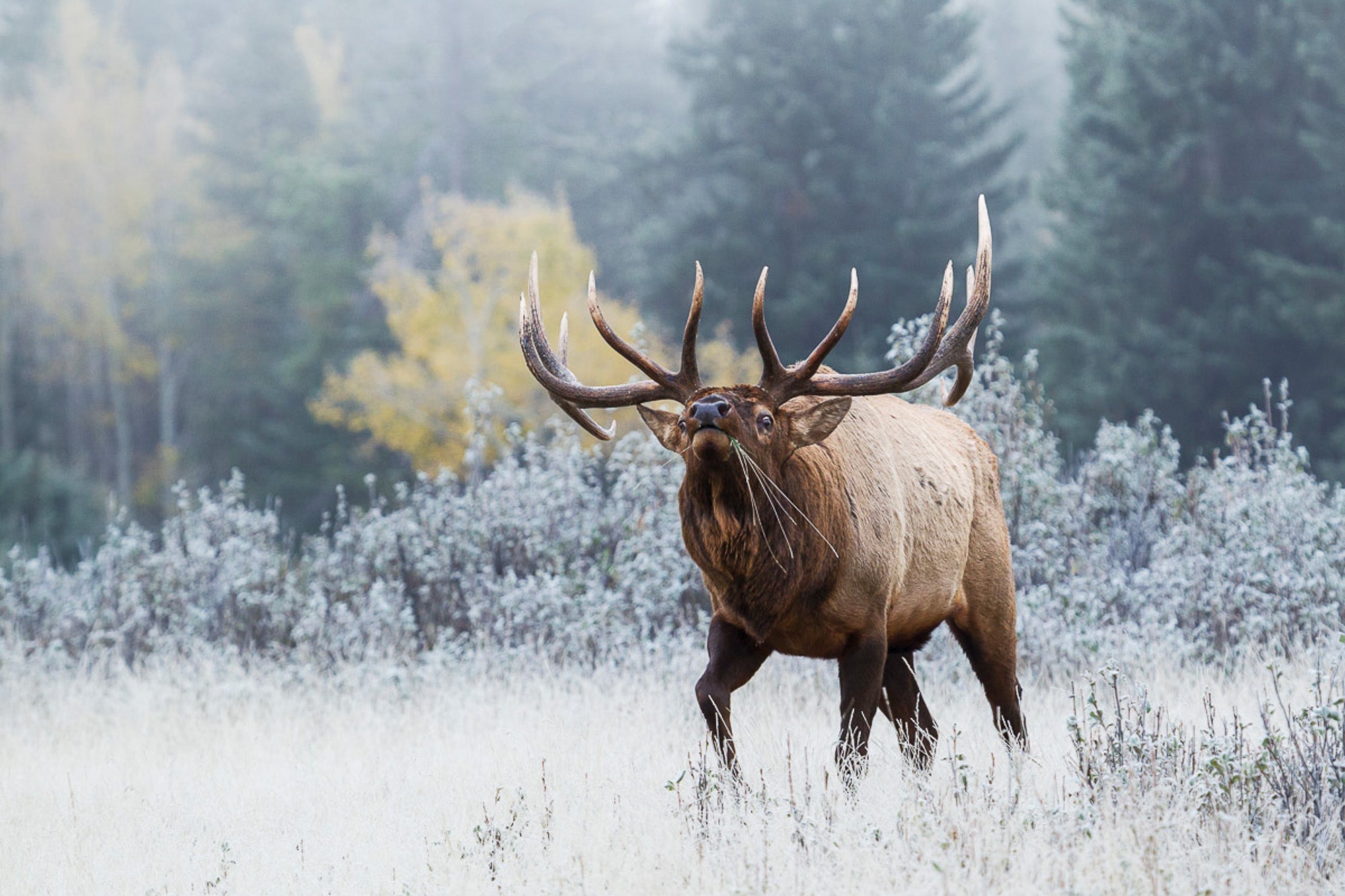 Hunting Marketing - Fishing Advertising Agency