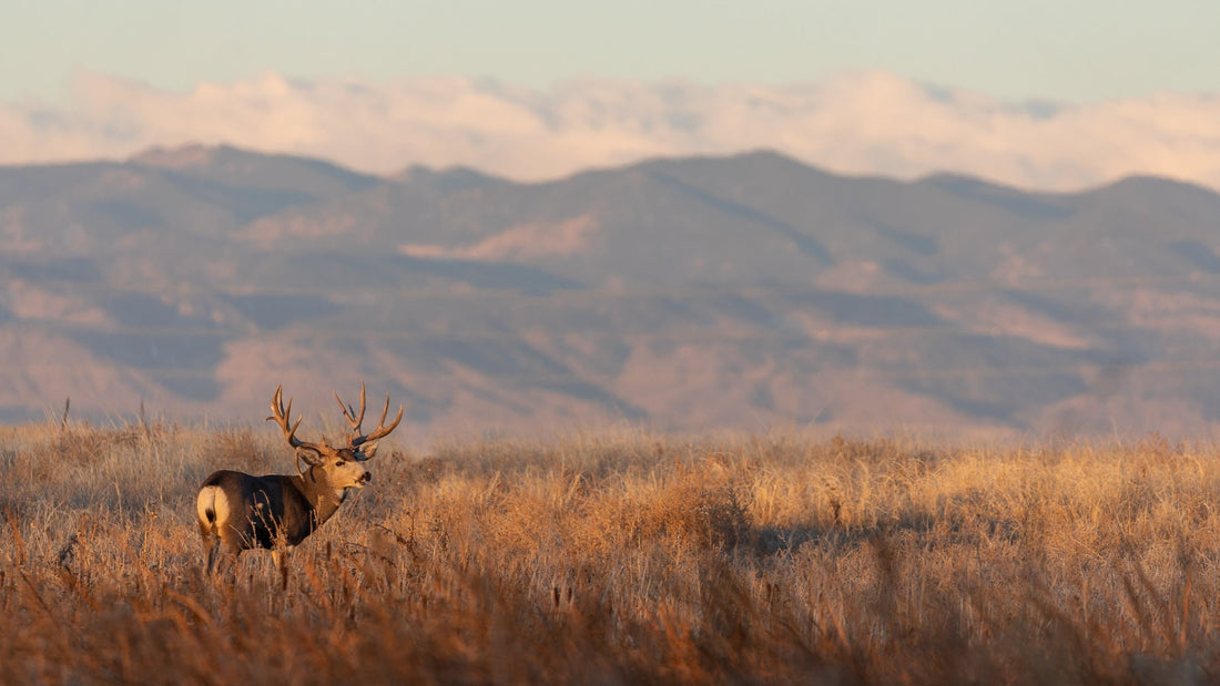 Marketing for Hunting Brands