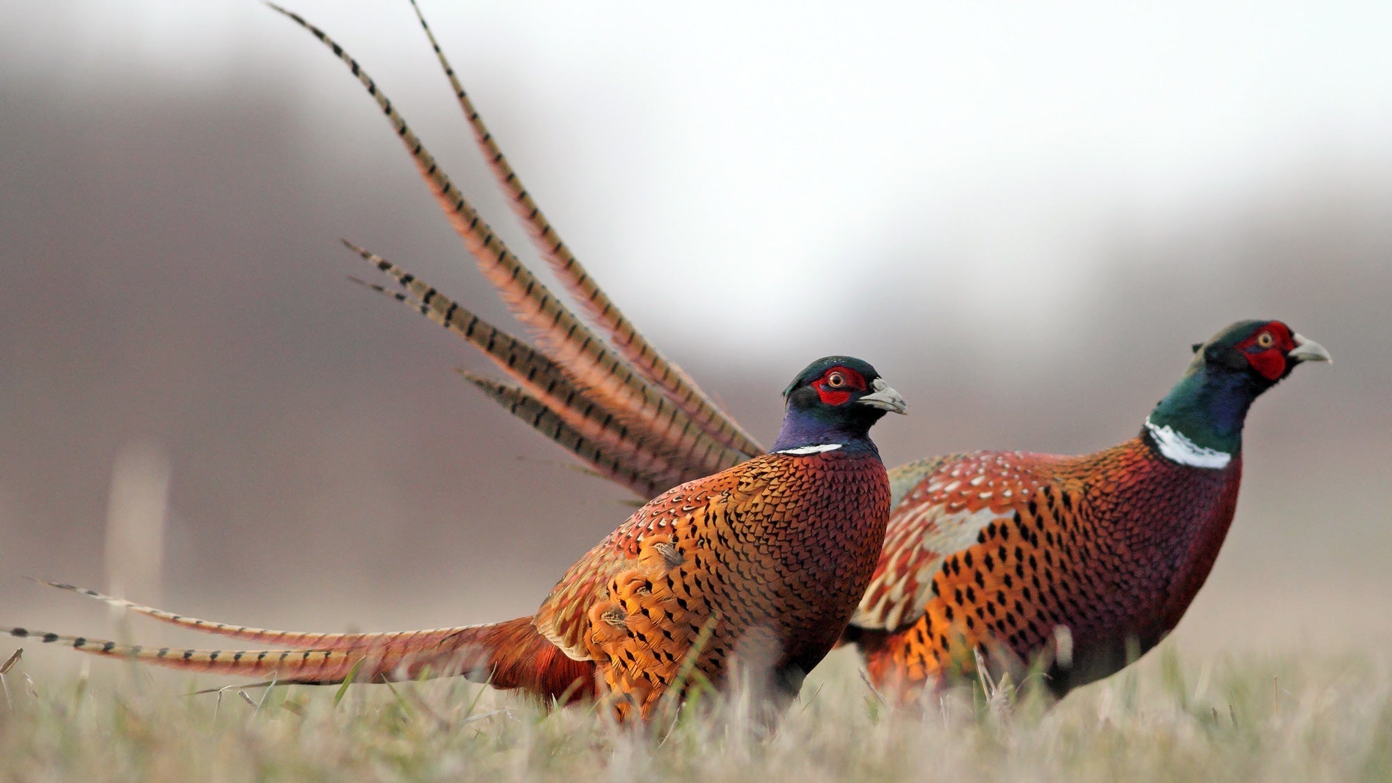 Maximize Your Outdoor Brand’s Success with Expert Marketing Strategies