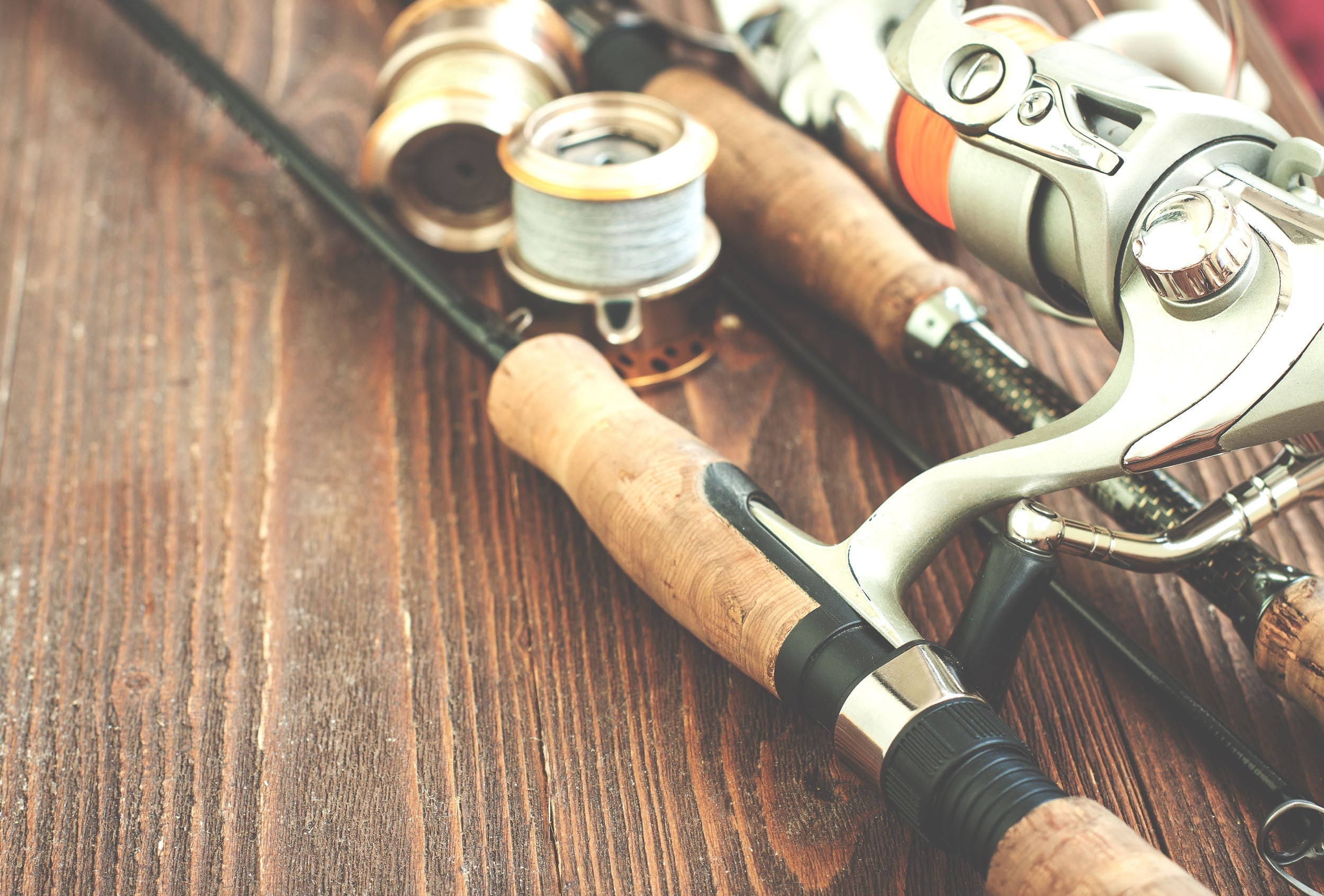 Email Marketing for Outdoor Brands