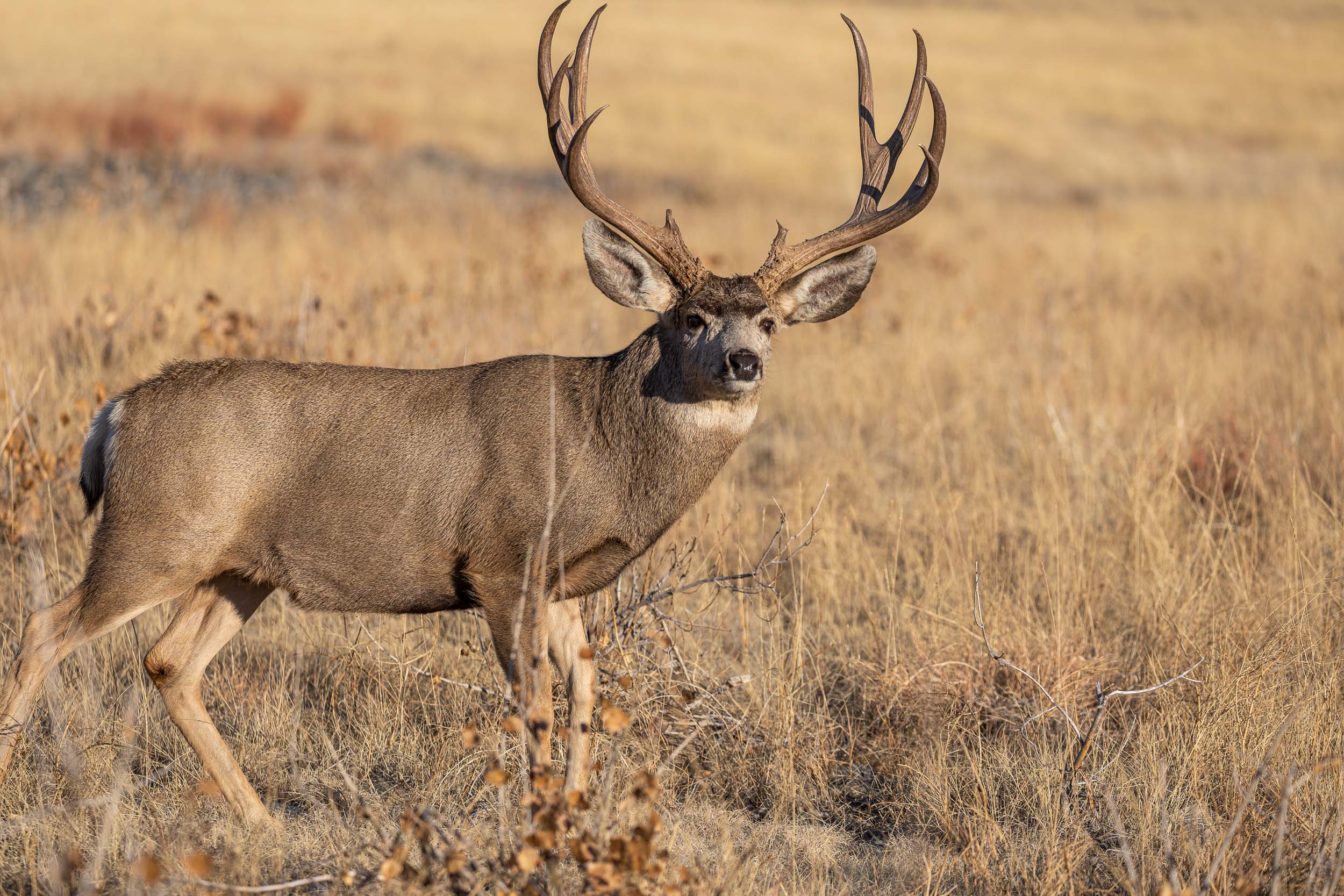 Marketing for Fishing and Hunting Lodges