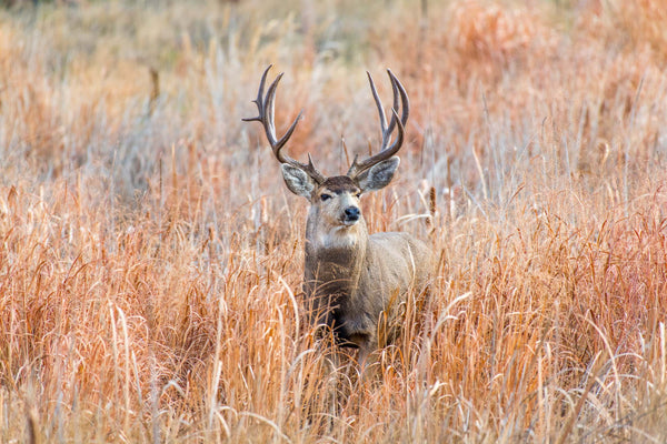 How the Right Outdoor Industry Marketing Firm Drives Revenue, Not Just Traffic