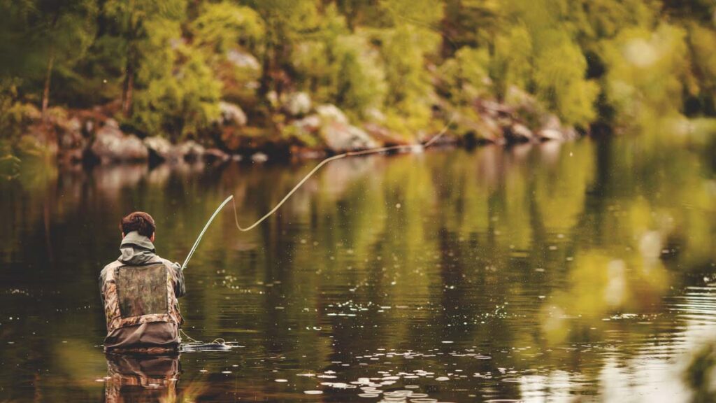 Fly Fishing Marketing Agencies