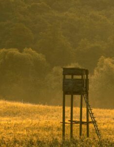 Hunting Industry Marketing Firms