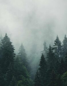 Outdoor Industry Marketing Companies