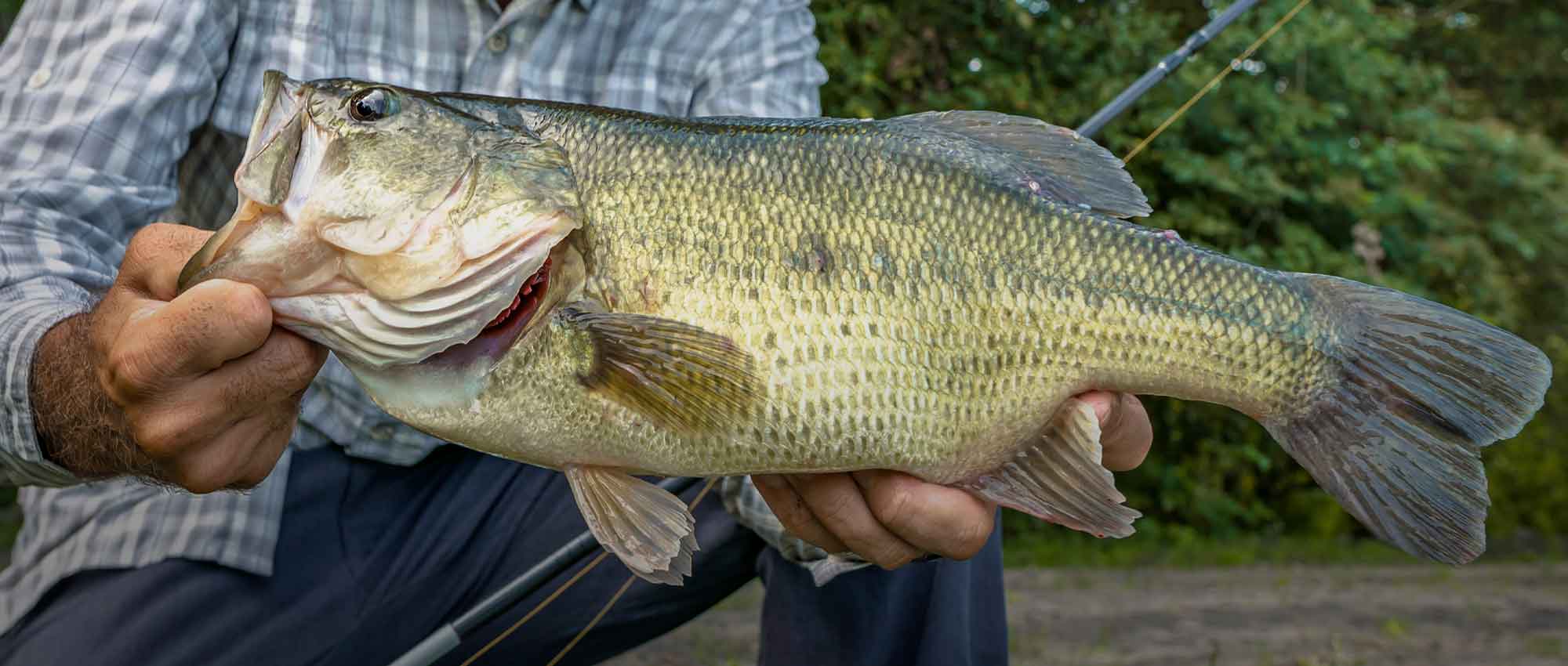 Marketing Agency for Fishing Brands