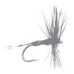 Fly Fishing Marketing