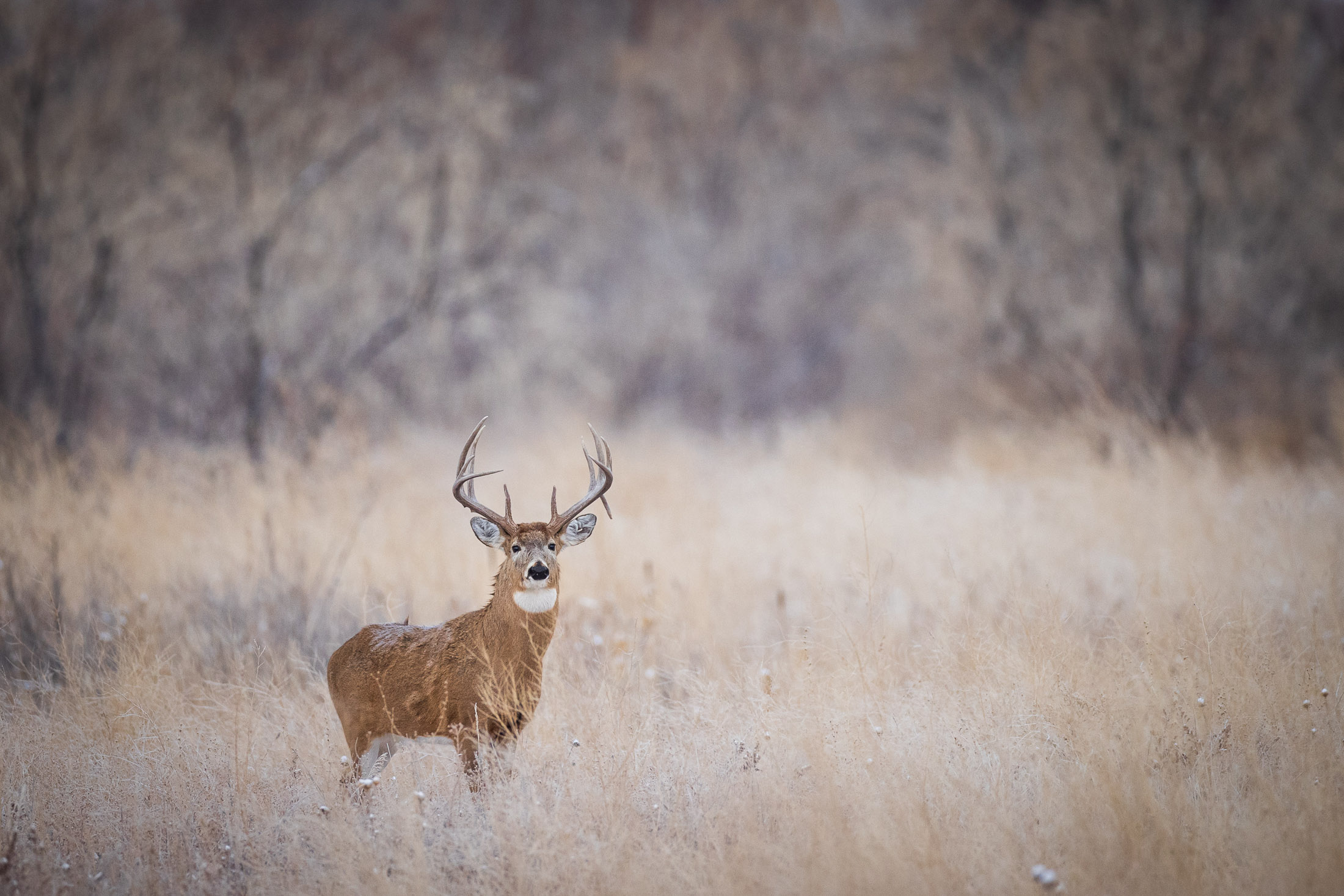 outdoor gear marketing agency