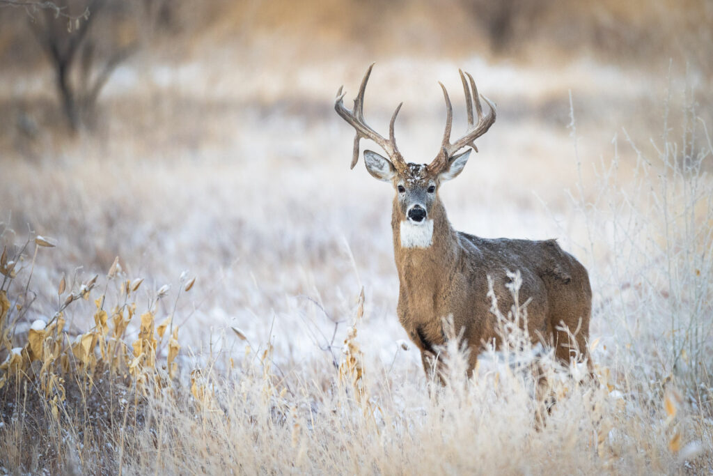 Marketing for Hunting Brands