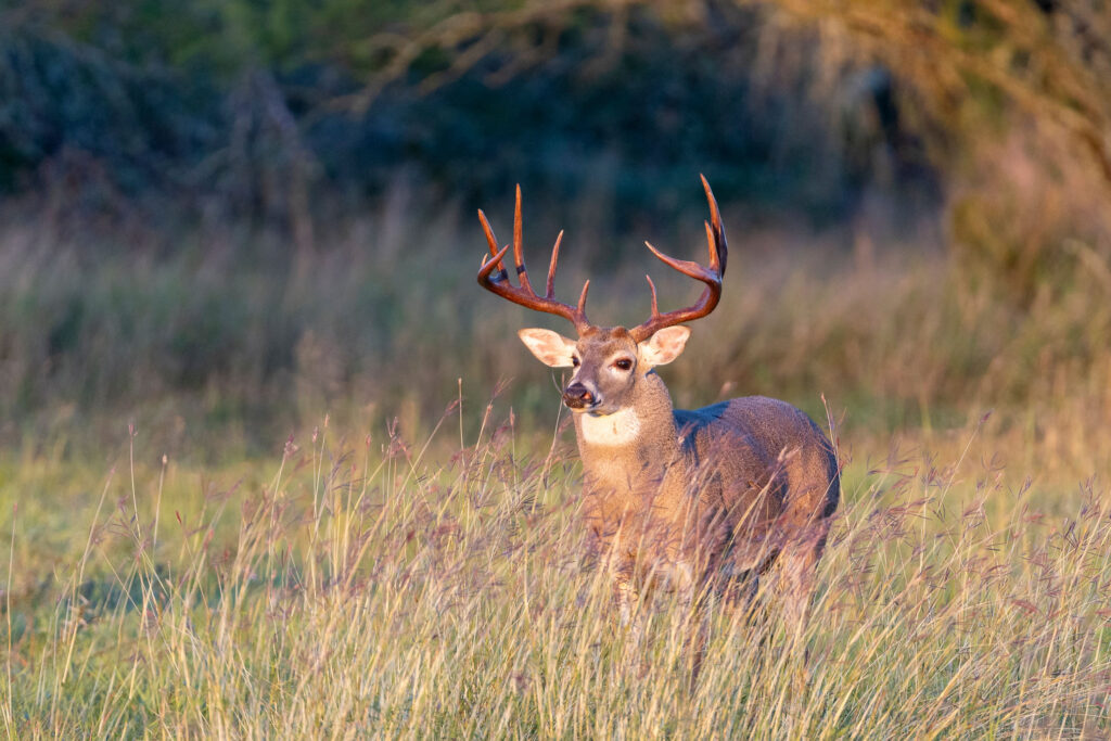 Outdoor Industry Website Design