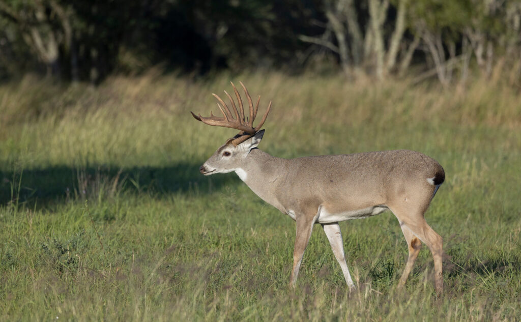 conversion rate optimization for outdoor brands