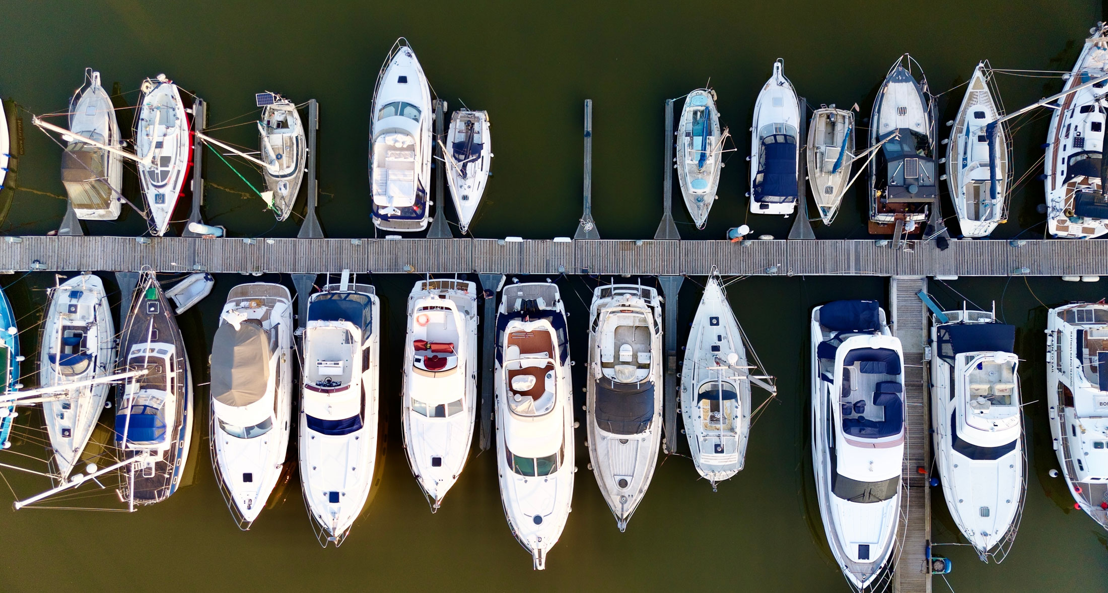 ppc agency for outdoor brands