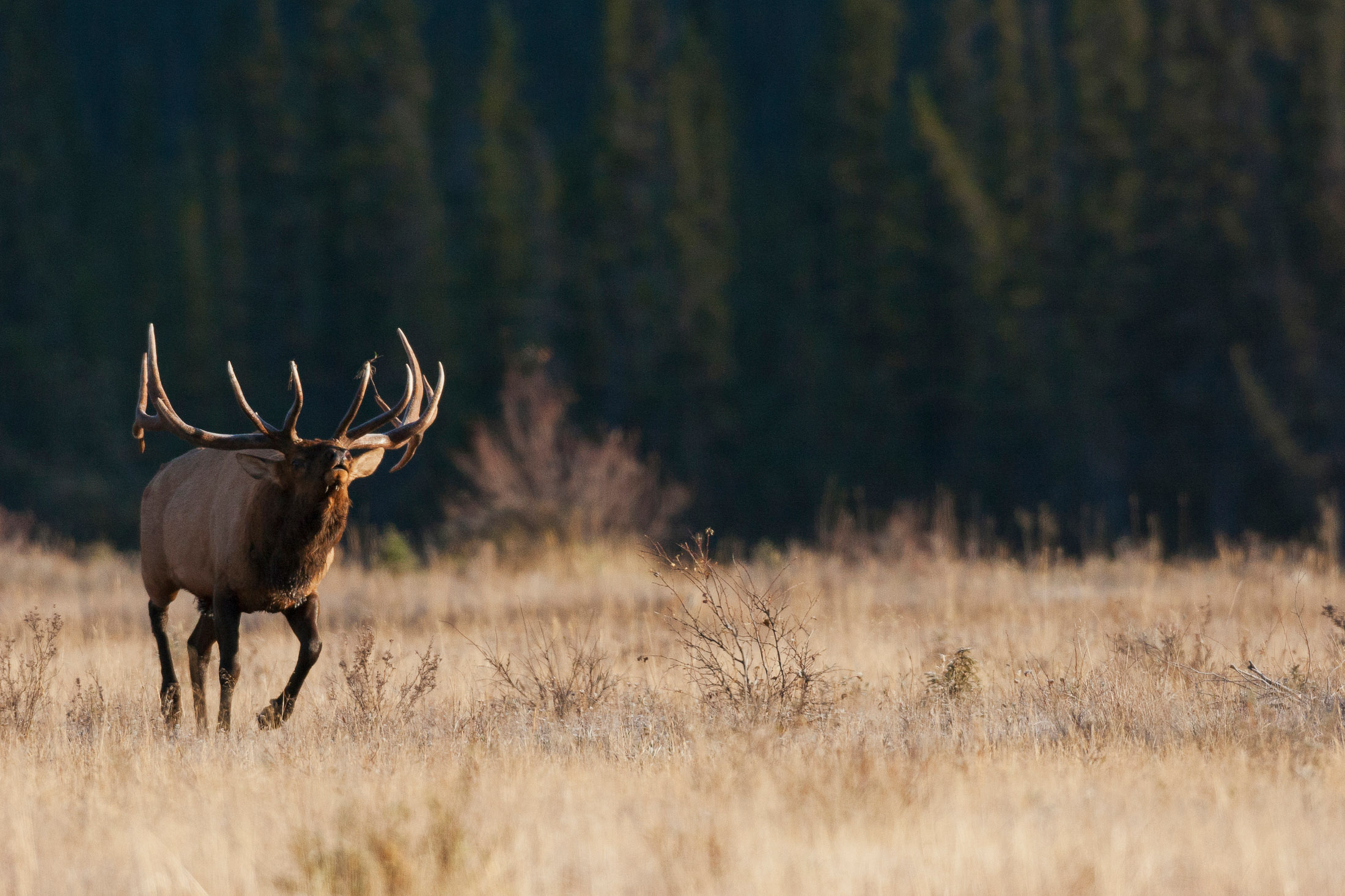 Outdoor Industries We Serve: Hunting Brands, Fishing Brands, ATV Dealers, Marinas, Adventure Brands, Lodge, Guides, and Outfitters