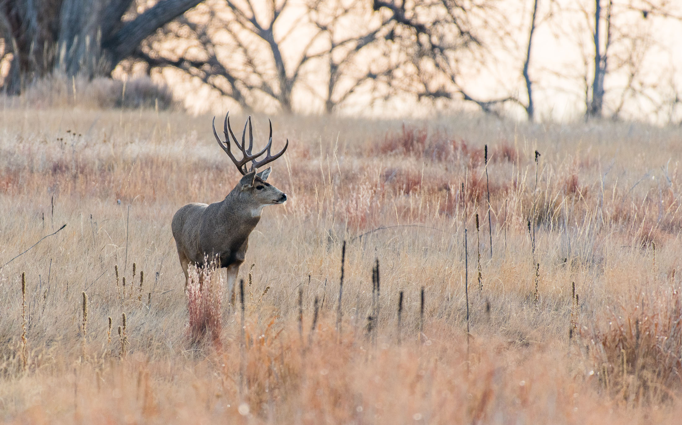 DTC Marketing for Outdoor Brands