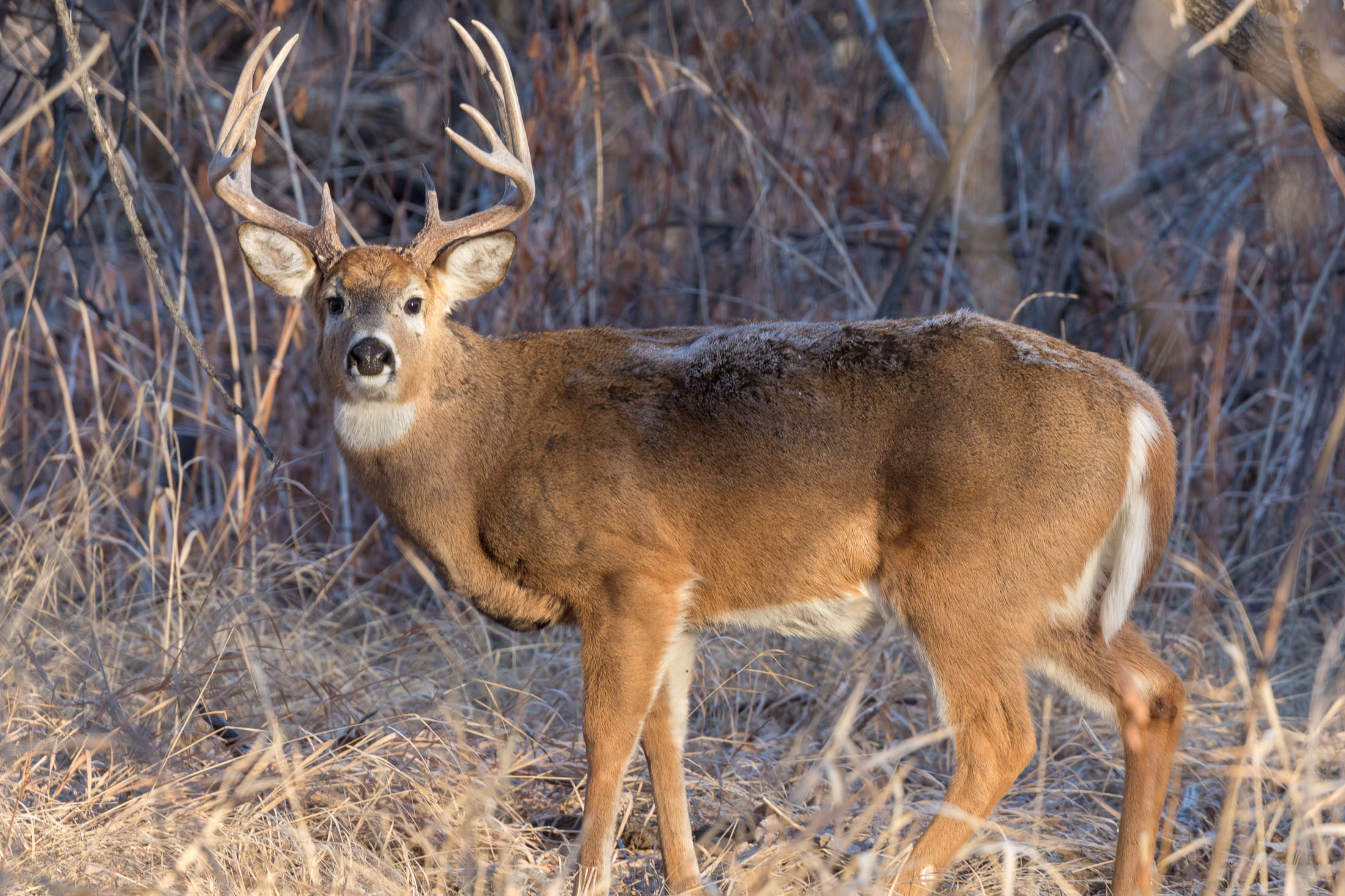 Product Marketing for Outdoor Brands