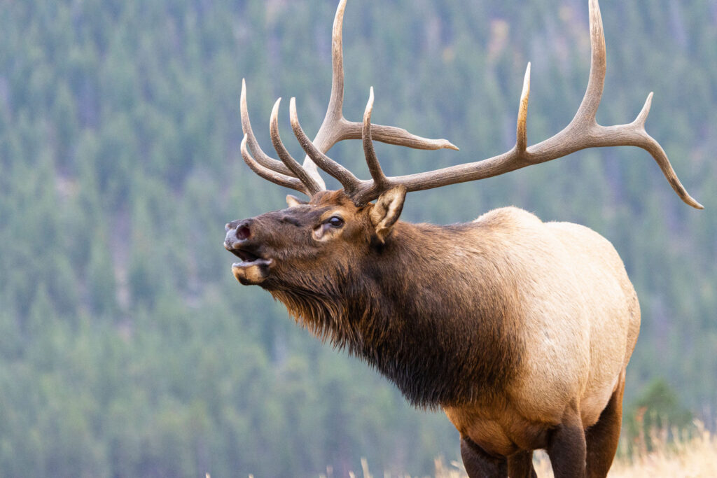 Marketing for Outdoor Industry Brands