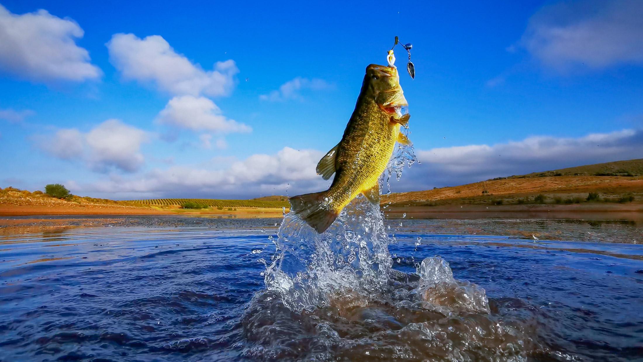 fishing guide marketing agency